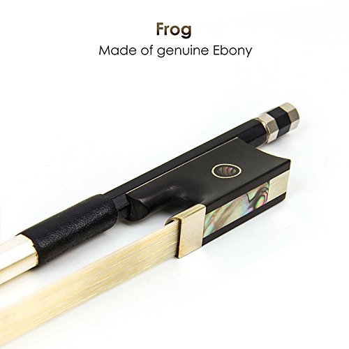 Best image of carbon fiber violin bows