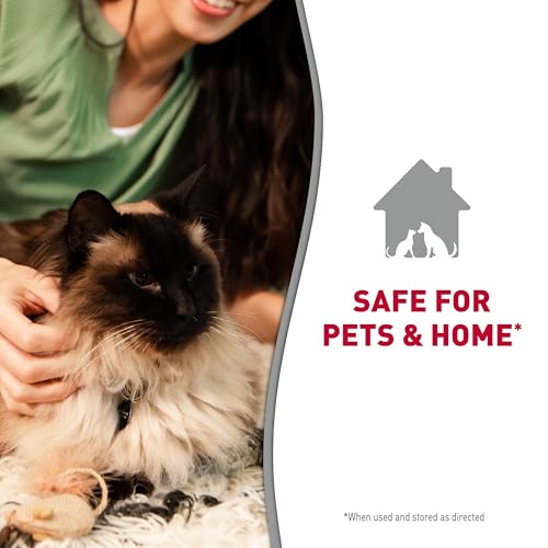 Best image of carpet shampoos