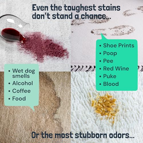 Best image of carpet shampoos