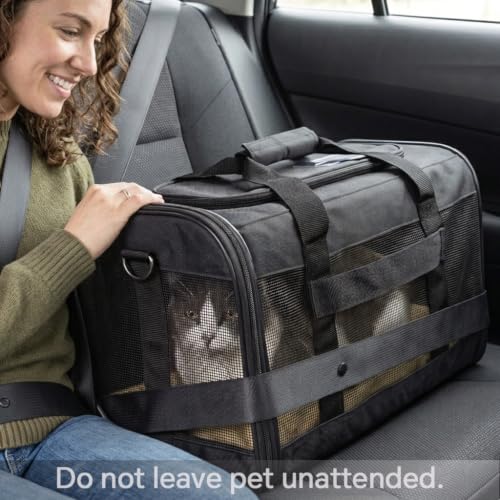 Best image of cat carriers