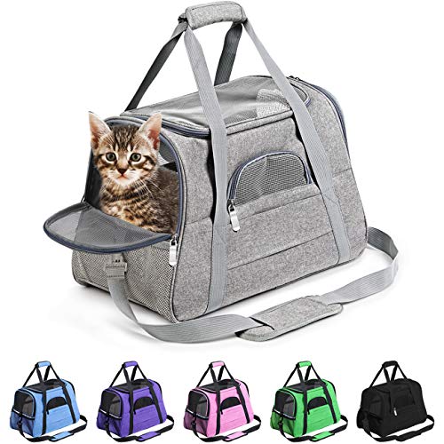 alternative cat carriers