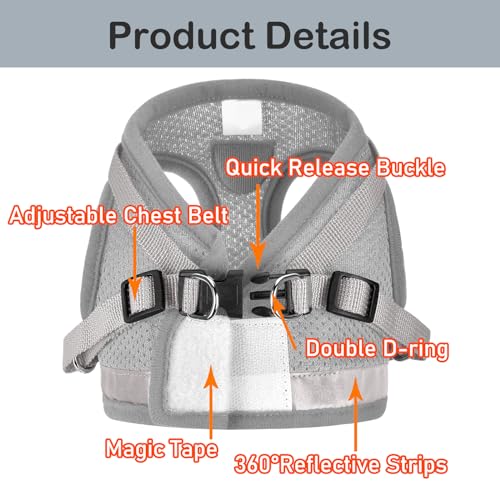 Best image of cat harnesses