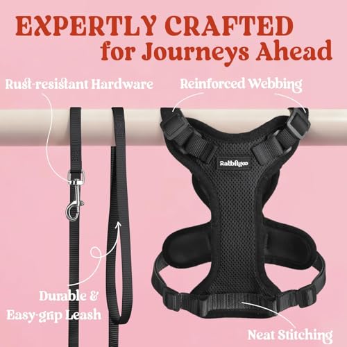 Best image of cat harnesses