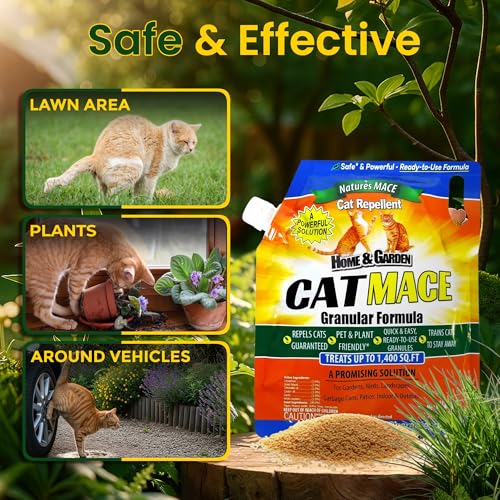 Best image of cat repellents