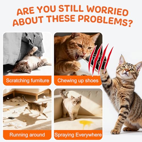 Best image of cat repellents