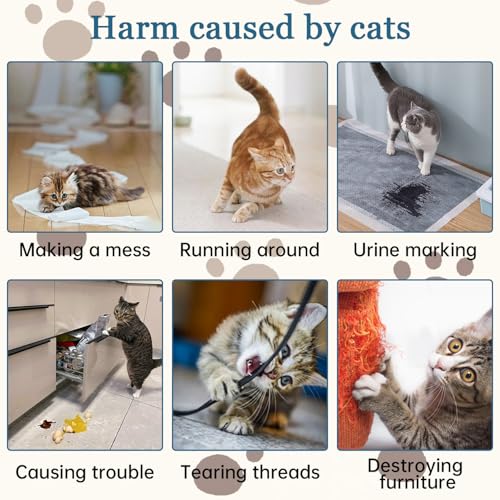 Best image of cat repellents