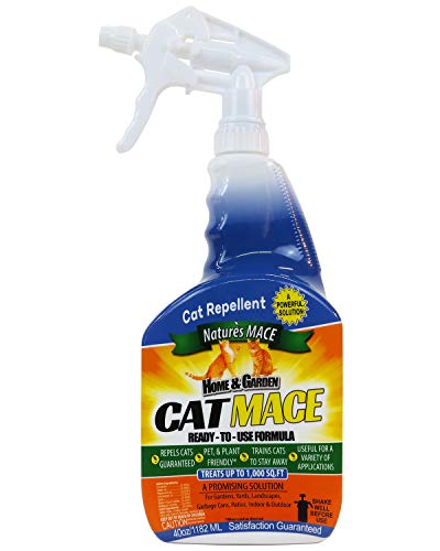 Best image of cat repellents