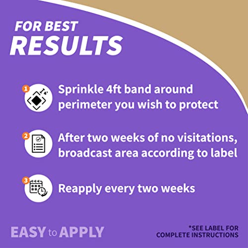 Best image of cat repellents