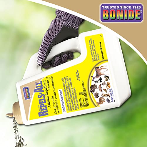Best image of cat repellents
