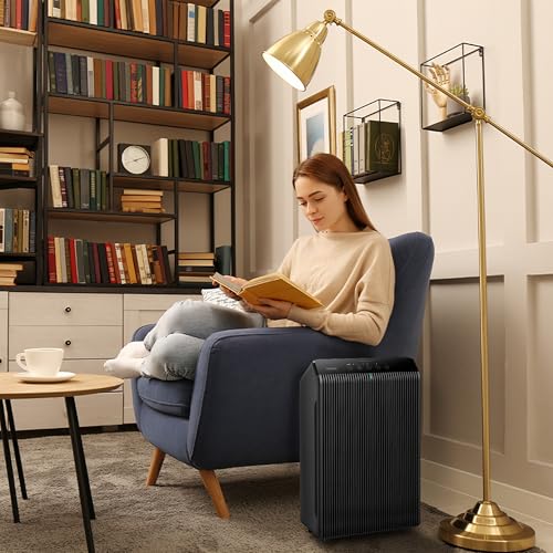Best image of charcoal air purifiers