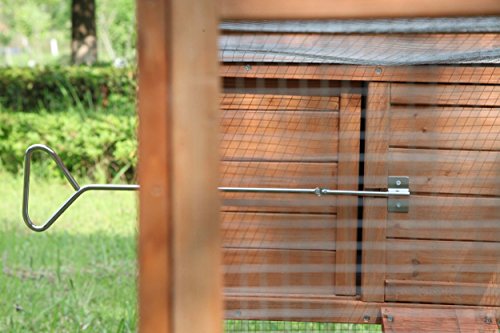 Best image of chicken coops