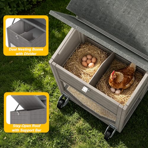 Best image of chicken coops