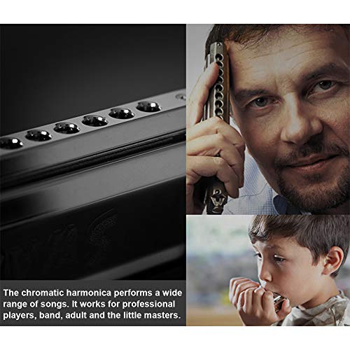 Best image of chromatic harmonicas