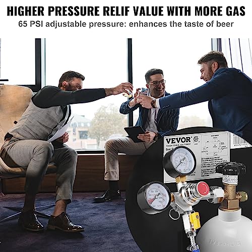 Best image of co2 regulators