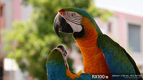 Best image of compact cameras