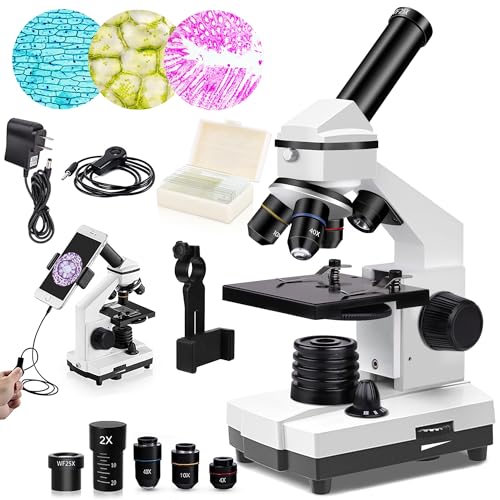 11 Best Compound Microscopes - Our Picks, Alternatives & Reviews ...