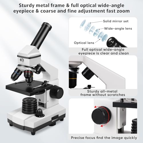 Best image of compound microscopes