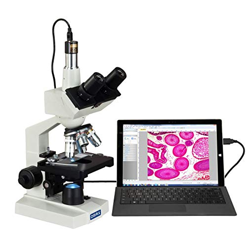 11 Best Compound Microscopes - Our Picks, Alternatives & Reviews ...