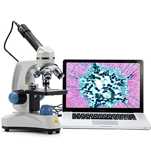 11 Best Compound Microscopes - Our Picks, Alternatives & Reviews ...