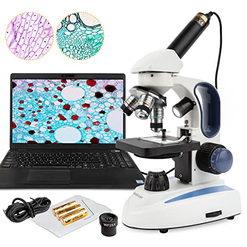 11 Best Compound Microscopes - Our Picks, Alternatives & Reviews ...