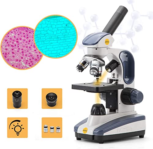 11 Best Compound Microscopes - Our Picks, Alternatives & Reviews ...
