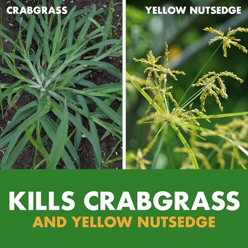 Best image of crabgrass killers