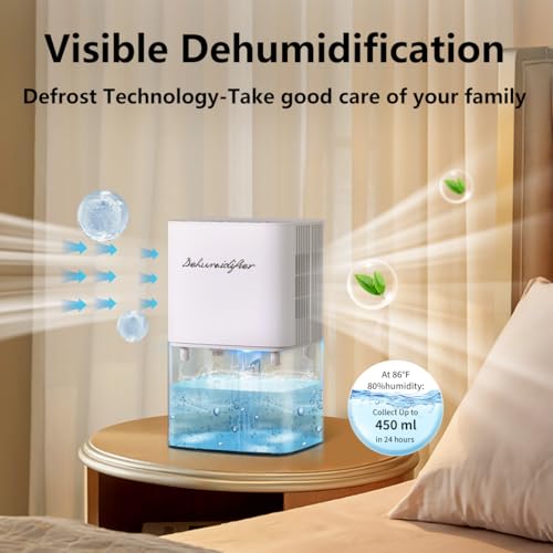 Best image of dehumidifiers