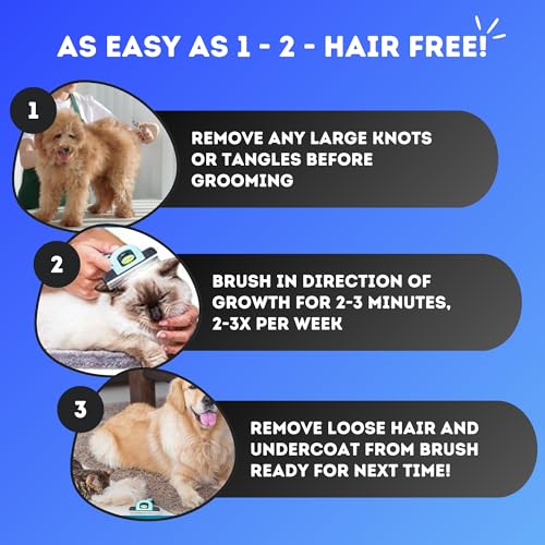 Best image of deshedding tools