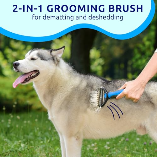 Best image of deshedding tools