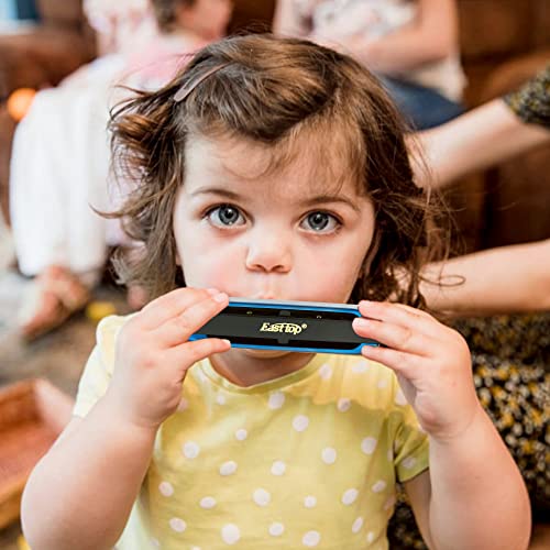 Best image of diatonic harmonicas