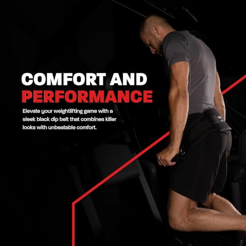 Best image of dip belts