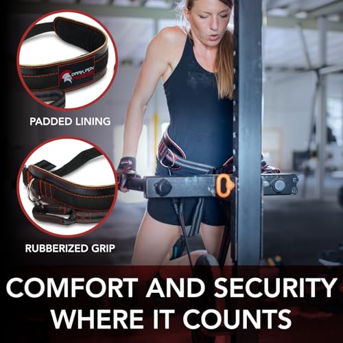 Best image of dip belts