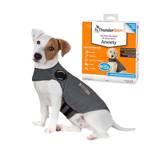 Best image of dog anxiety jackets