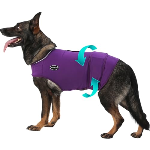 Best image of dog anxiety jackets