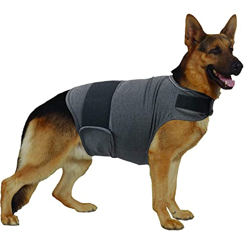 11 Best Dog Anxiety Jackets Our Picks, Alternatives & Reviews