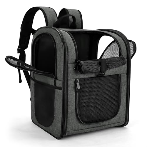 Best image of dog backpacks