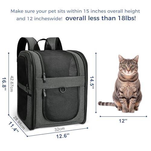 Best image of dog backpacks