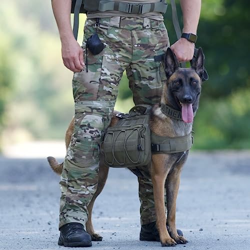 Best image of dog backpacks