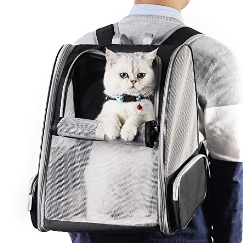Best image of dog backpacks