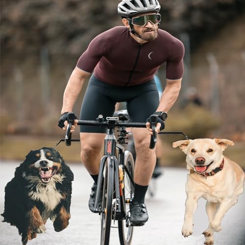 Best image of dog bicycle leashes