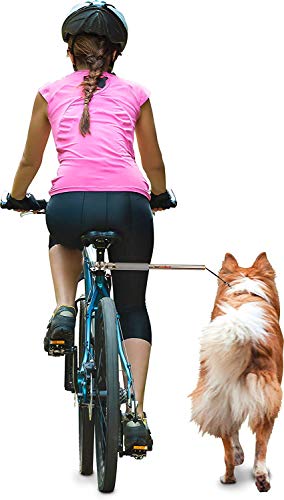 Best image of dog bicycle leashes