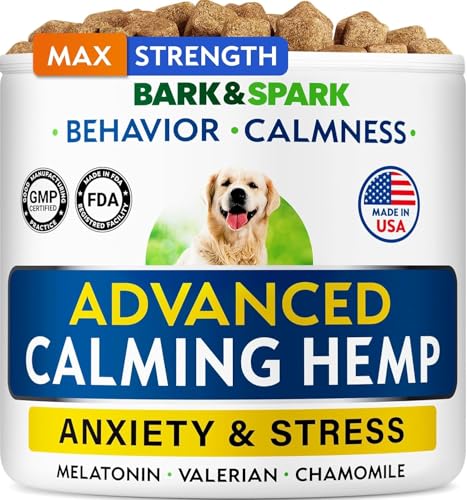 Best image of dog calming treats