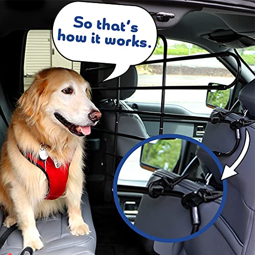 Best image of dog car barriers