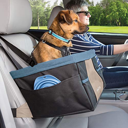 Best image of dog car seats