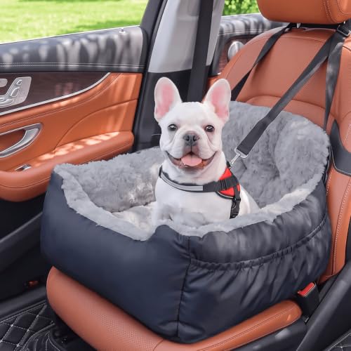Best image of dog car seats