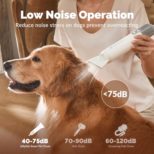 Best image of dog dryers