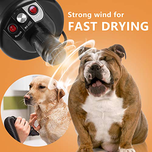 best dog dryers