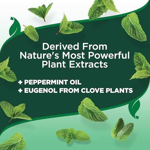 Best image of dog flea treatments