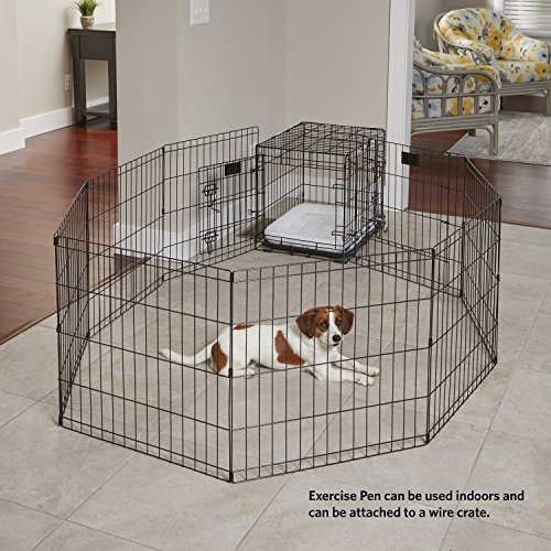 Best image of dog pens