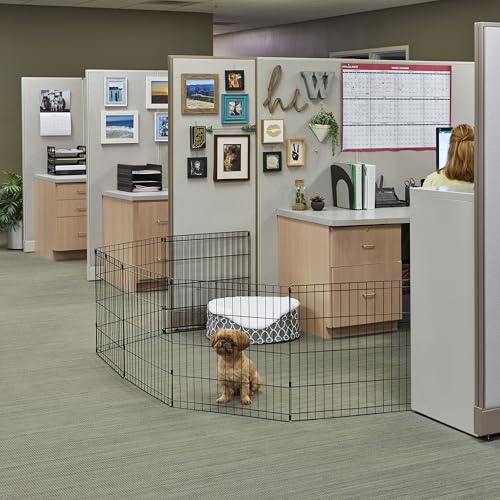 Best image of dog pens
